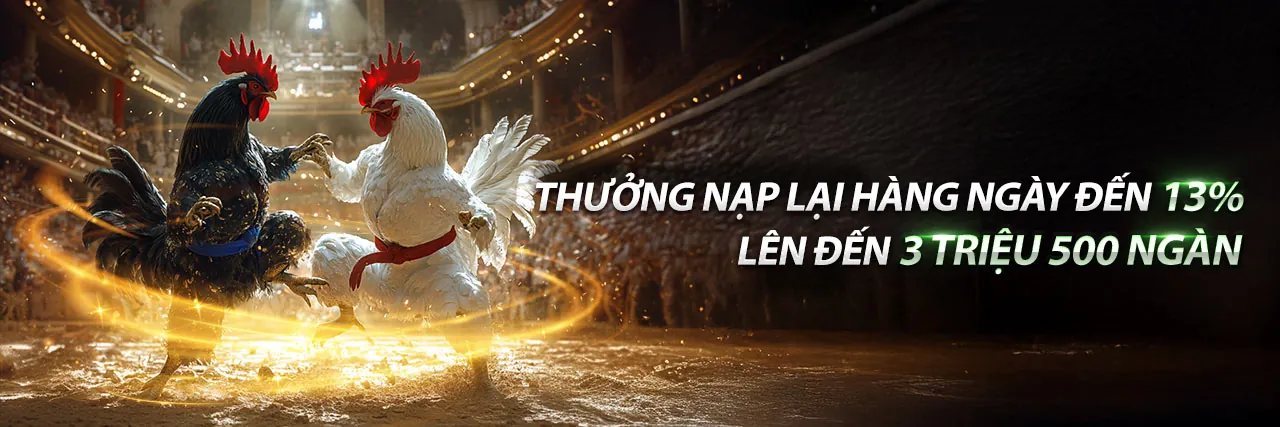 Sân đấu đá gà kịch tính tại bg86 win